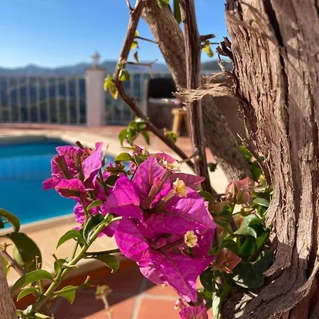 Bed & Breakfast Casa La Quinta 4*